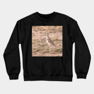 Plover Crewneck Sweatshirt